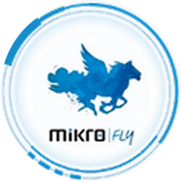 Mikro Fly